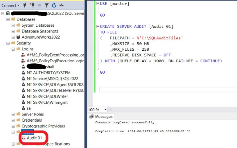 SQL Audit – Basic Example | Notes on SQL