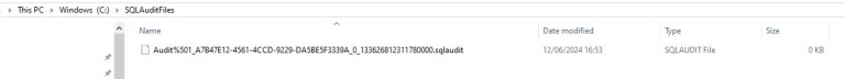 SQL Audit – Basic Example | Notes on SQL
